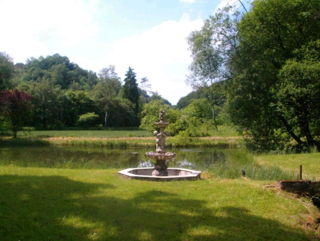 Propriete Bordee D'Etangs, Propice A La Detente Florenville Esterno foto