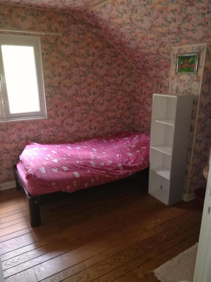 Propriete Bordee D'Etangs, Propice A La Detente Florenville Esterno foto